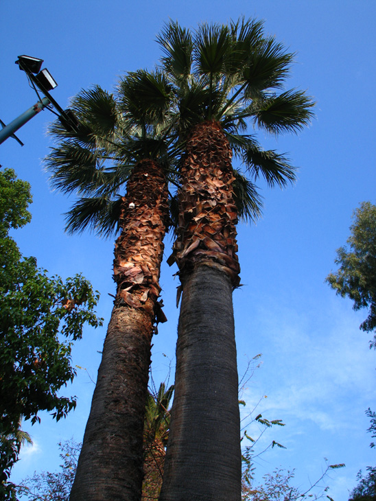 国立考古学博物館